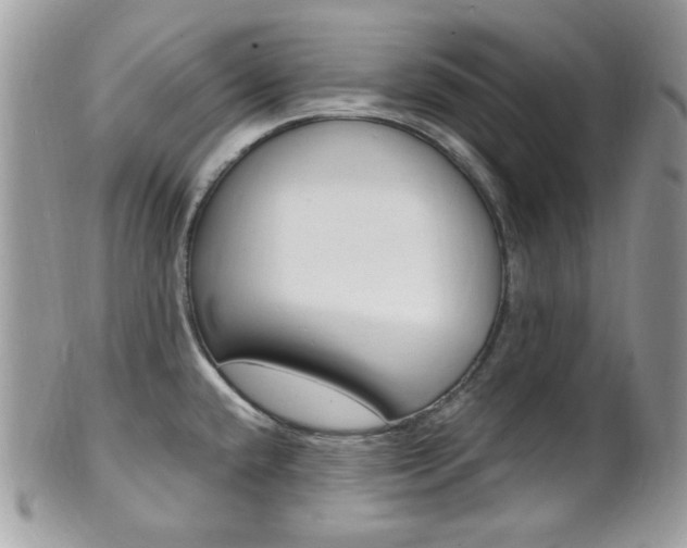 X0000101411432200807070955