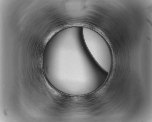 X0000101411433200807070955