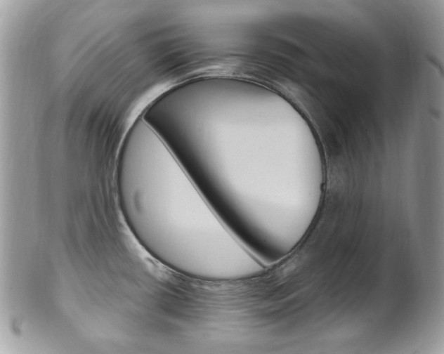X0000101411434200807070955