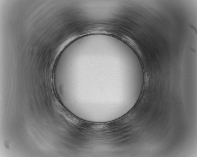 X0000101411435200807070955