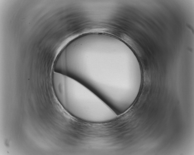 X0000101411436200807070955