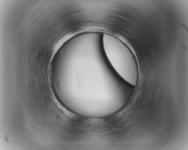 X0000101411437200807070955