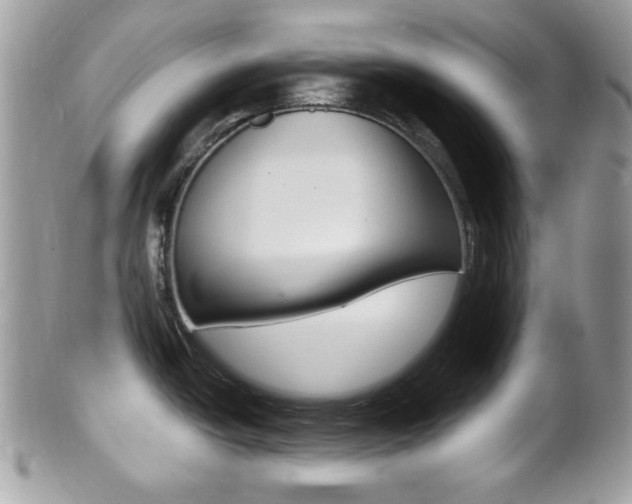 X0000101411438200807070955