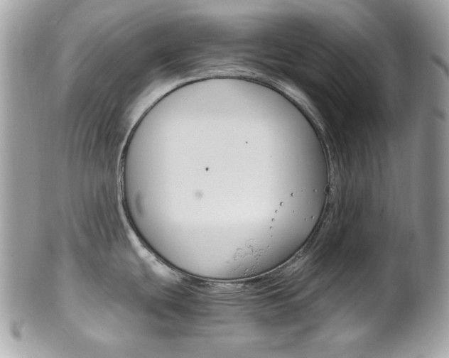 X0000101411439200807070955