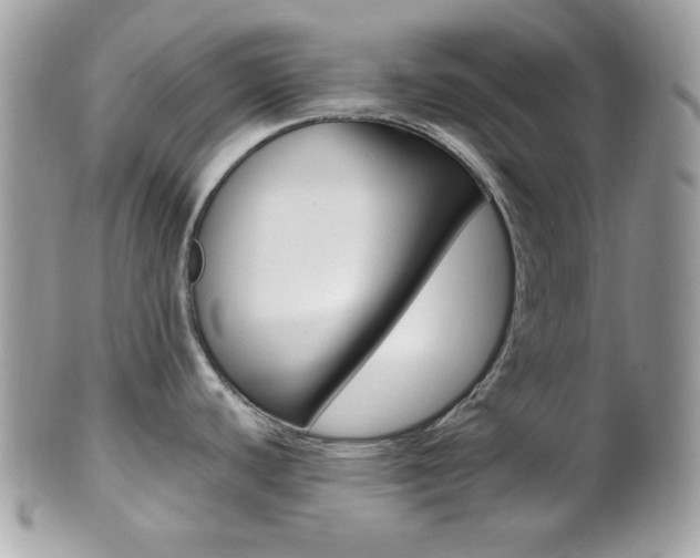 X0000101411440200807070955