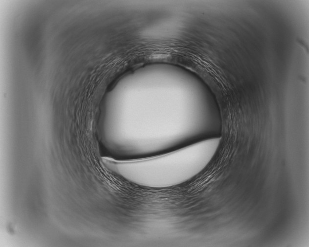 X0000101411441200807070955