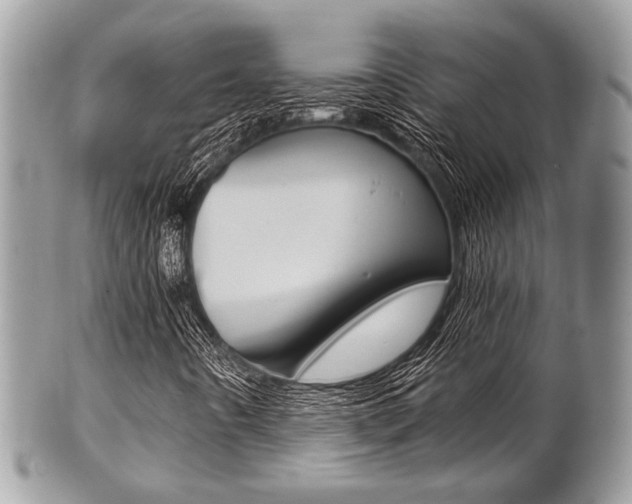 X0000101411442200807070955