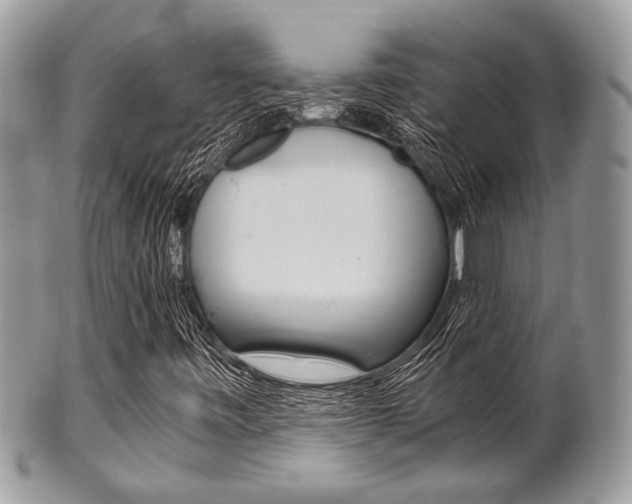 X0000101411443200807070955
