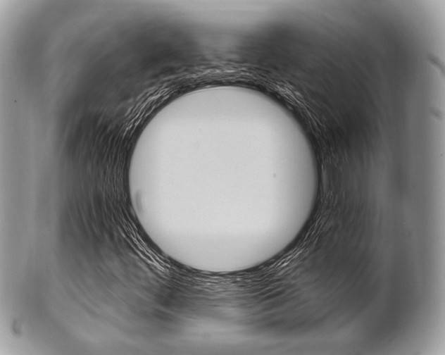 X0000101411444200807070955