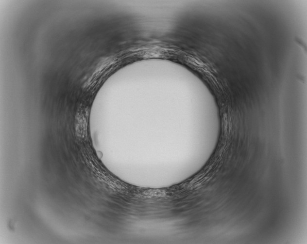 X0000101411446200807070955