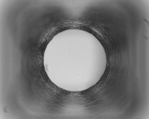 X0000101411447200807070955
