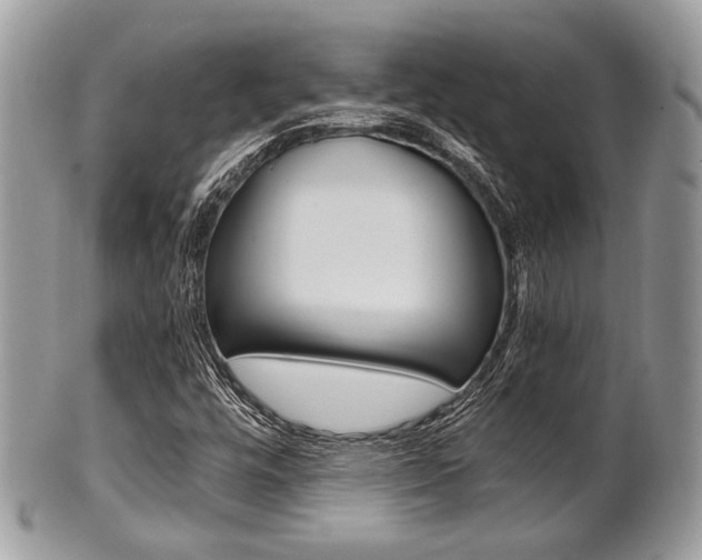 X0000101411448200807070955