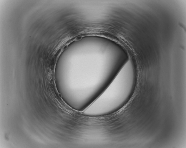 X0000101411449200807070955