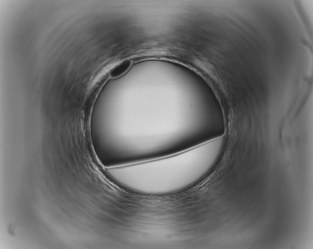 X0000101411452200807070954
