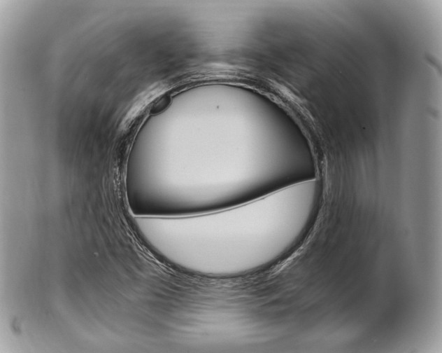 X0000101411453200807070954