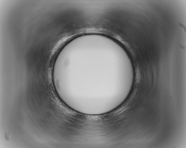 X0000101411454200807070954