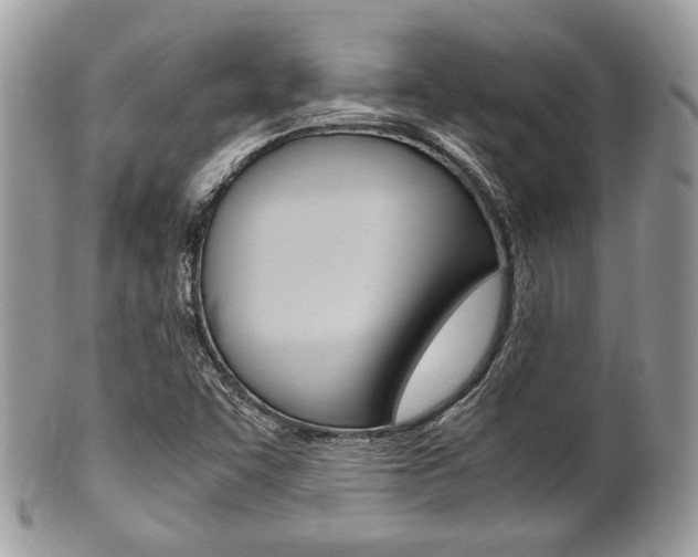 X0000101411455200807070954