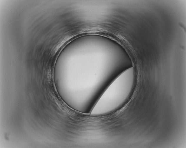 X0000101411457200807070954