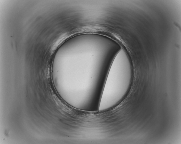 X0000101411459200807070954