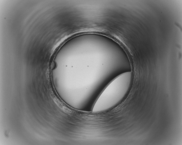 X0000101411460200807070954