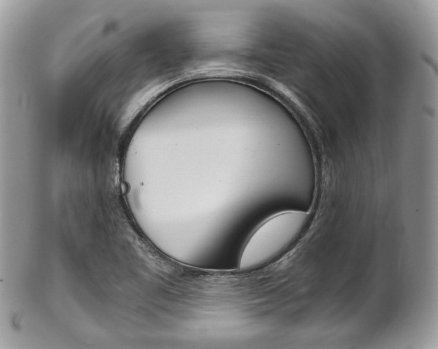 X0000101411461200807070954