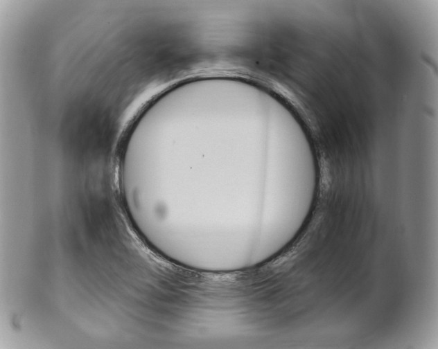 X0000101411462200807070954