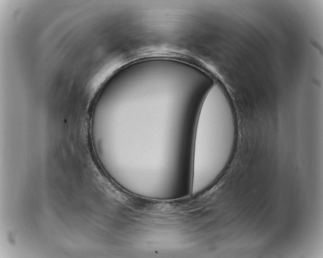 X0000101411463200807070954