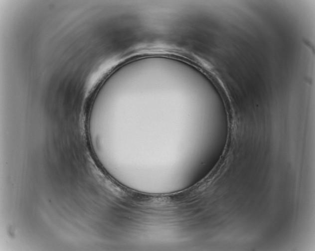 X0000101411464200807070954
