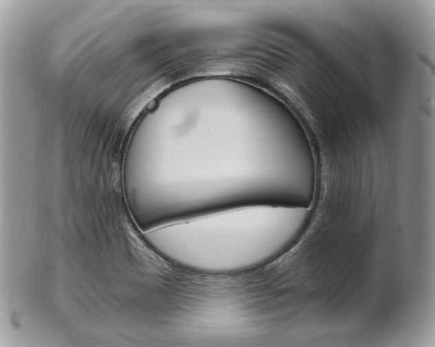 X0000101411465200807070954