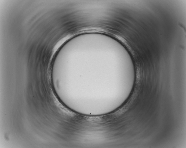X0000101411466200807070954