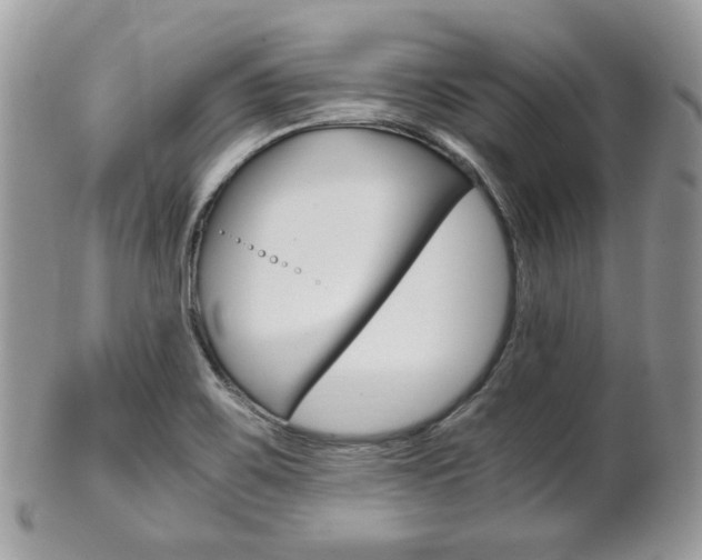 X0000101411467200807070954