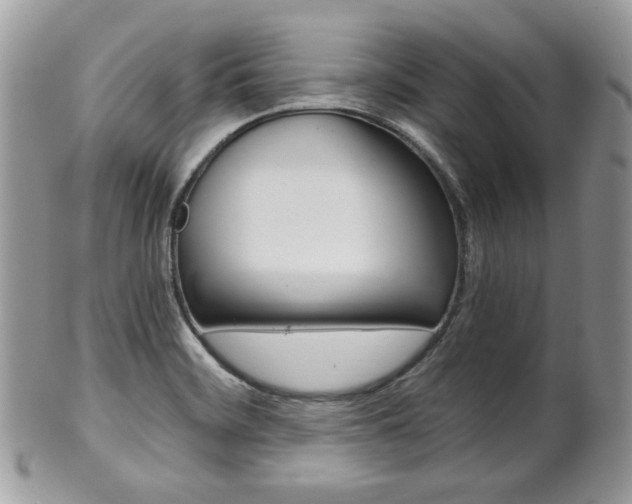 X0000101411468200807070954