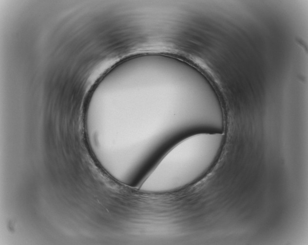 X0000101411469200807070954