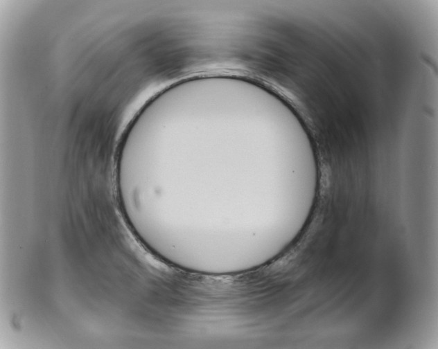 X0000101411470200807070954