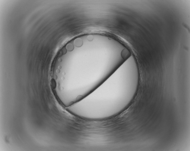 X0000101411471200807070954
