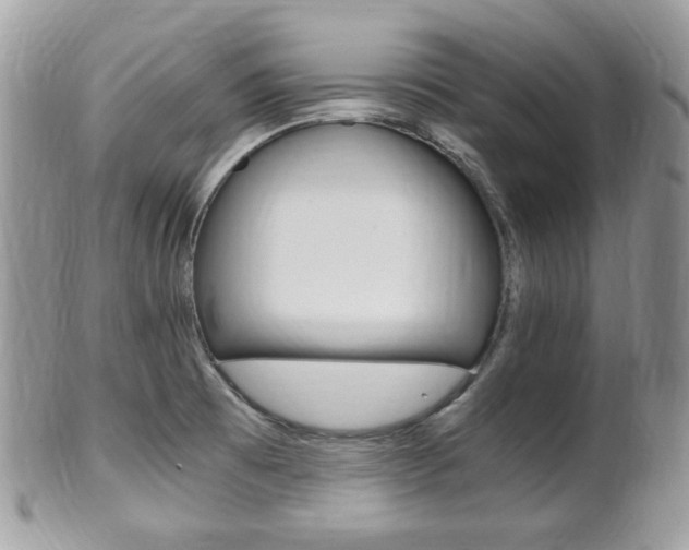 X0000101411473200807070954