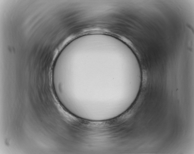 X0000101411474200807070954