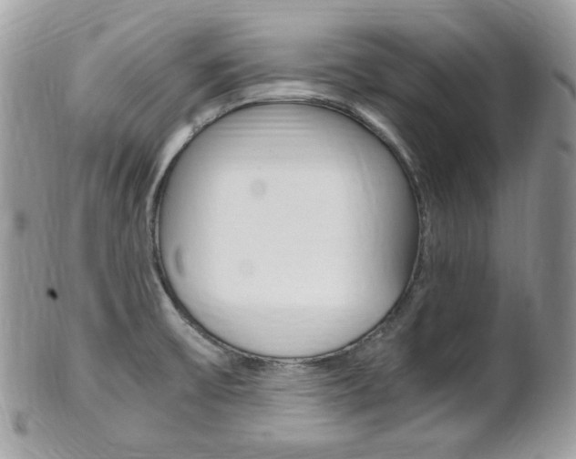 X0000101411475200807070954