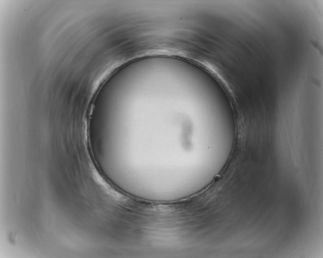 X0000101411476200807070954