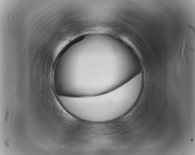 X0000101411477200807070954