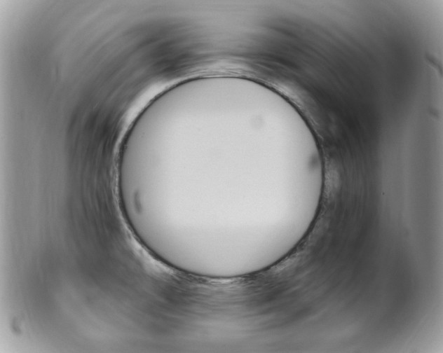 X0000101411478200807070954