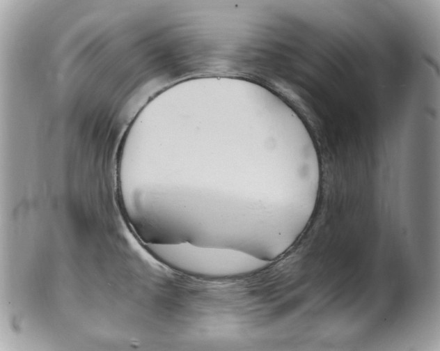 X0000101411479200807070954