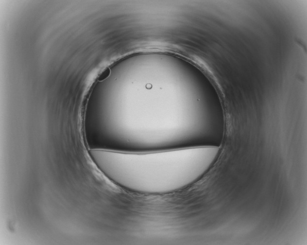 X0000101411480200807070954