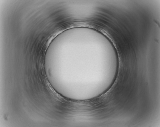 X0000101411481200807070954