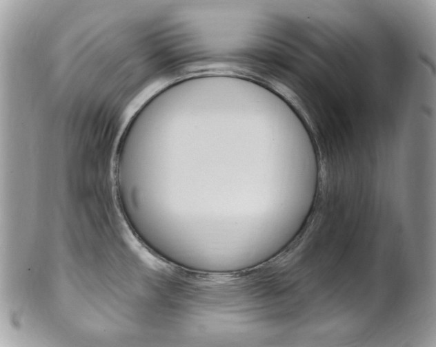 X0000101411482200807070954