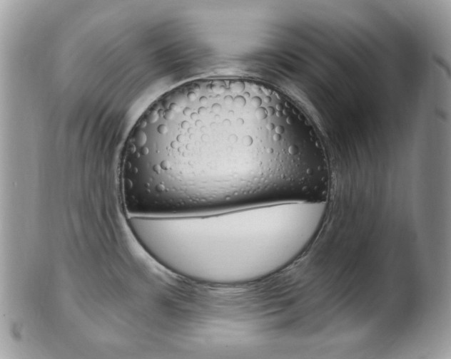 X0000101411483200807070954