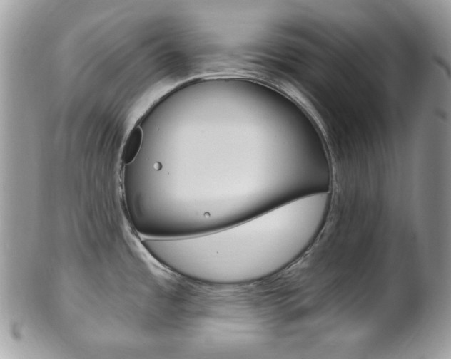 X0000101411485200807070954