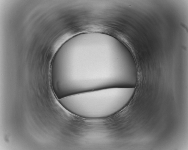 X0000101411487200807070954