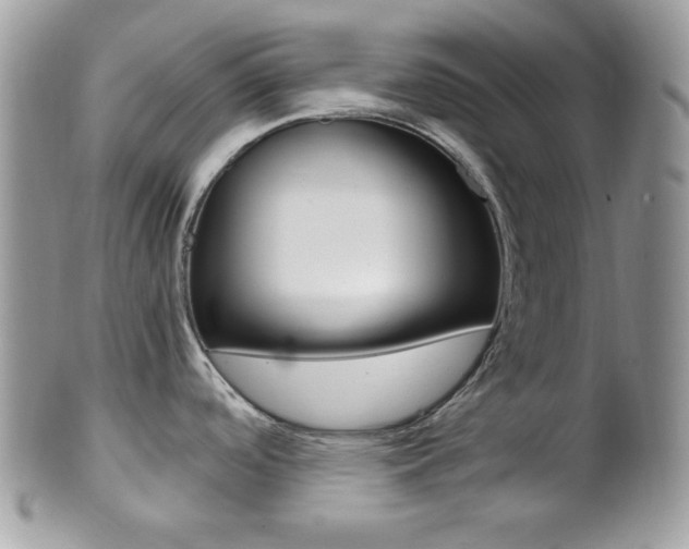 X0000101411488200807070954