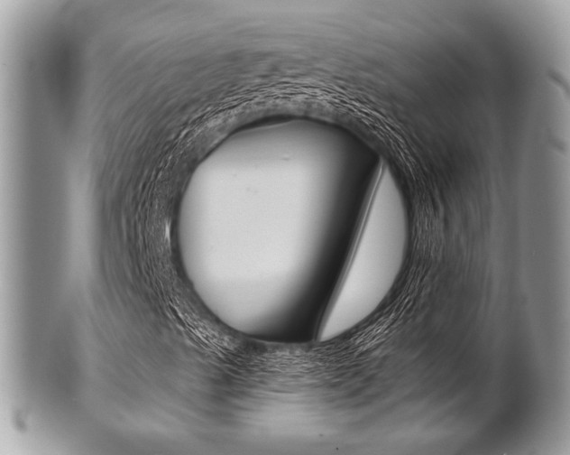 X0000101411489200807070953